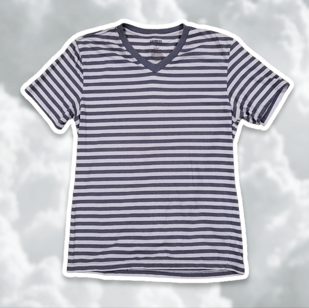 Express Large Gray White Stripe V-neck Short Sleeve T-shirt